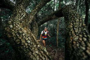 BIB: 
                            <button type="button" onclick="openModal(25394226)" class="btn btn-primary btn-sm float-right btn-popup" data-toggle="modal" data-target=".modal-high-quality">
                        <i class="fas fa-shopping-cart"></i> Add to Cart
                    </button>
                                            <button type="button" onclick="isThisMe(25394226, true)" class="btn btn-success btn-sm float-right btn-popup btn-isme hidden" data-toggle="tooltip" data-placement="bottom" title="นี่คือรูปของคุณใช่ไหม คลิกที่นี่เพื่อเอาเข้าอัลบั้ม">
                        <i class="fas fa-plus"></i> Add to album
                    </button>
                    <button type="button" onclick="isThisMe(25394226, false)" class="btn btn-warning btn-sm float-right btn-popup btn-isnotme hidden">
                        <i class="fas fa-ban"></i> Remove from album
                    </button>